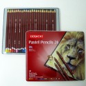 Pack de 24 lapices pastel - Derwent